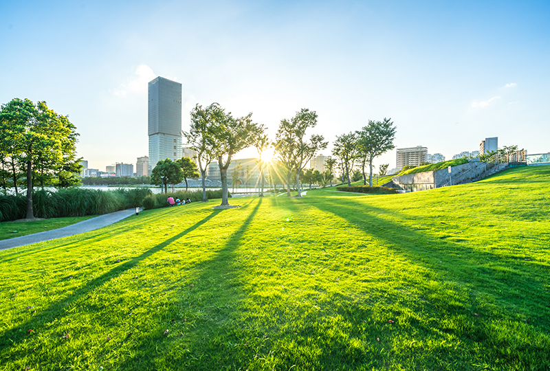 Reason 6：Sustainability ― 環境にやさしい素材