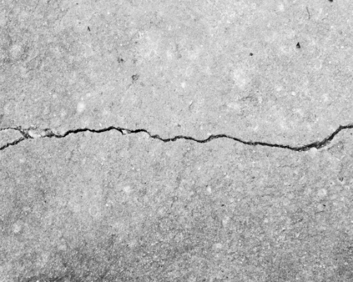 ザイペックスの特長