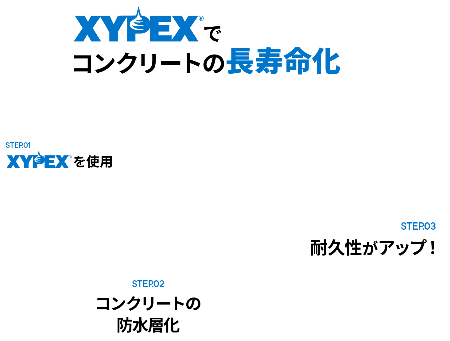株式会社 日本ザイペックス 〒107-0061東京都港区北青山2-12-31-402