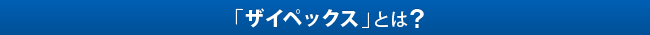 「ザイペックス」とは……