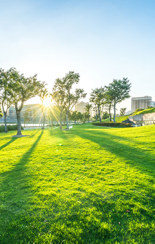 環境にやさしい素材